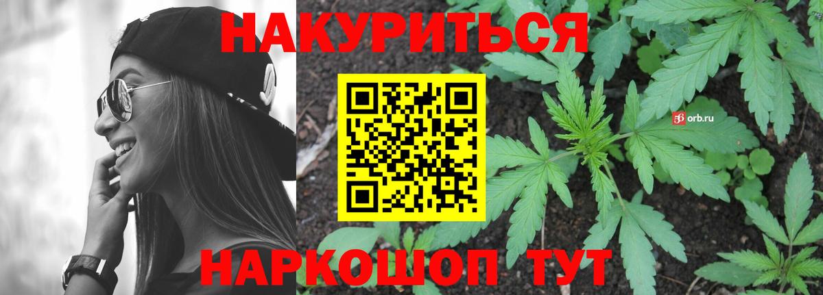 Шишки марихуана планчик Урюпинск